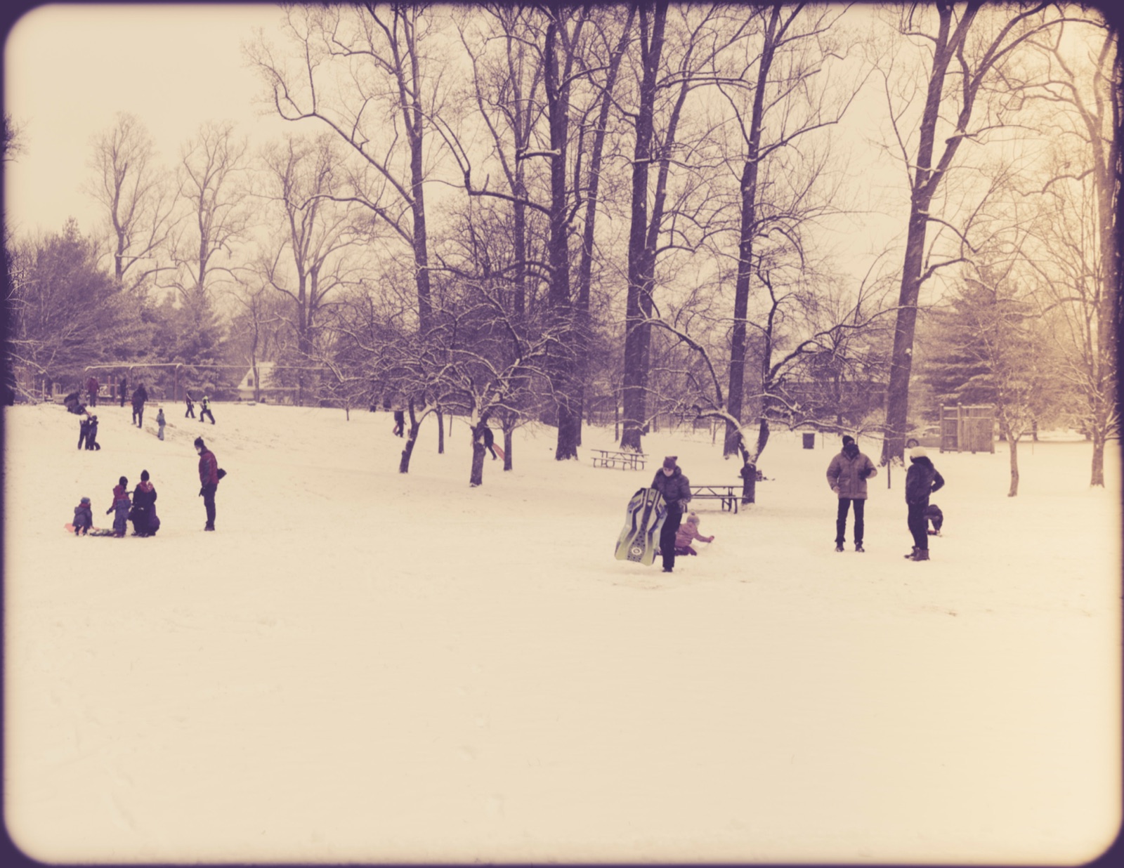 Families sledding together in a snowy park